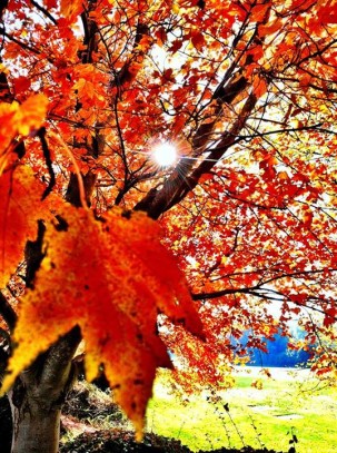 1374895_614758311898996_137853200_n