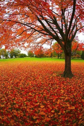 60891_708638749164009_2011729613_n